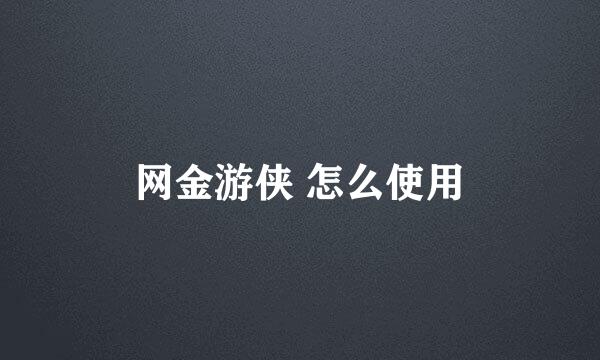 网金游侠 怎么使用