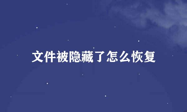 文件被隐藏了怎么恢复