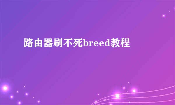 路由器刷不死breed教程