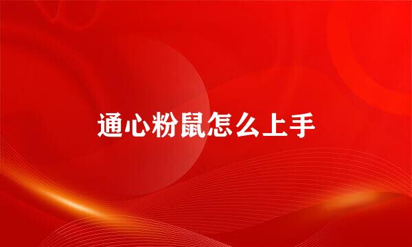 通心粉鼠怎么上手