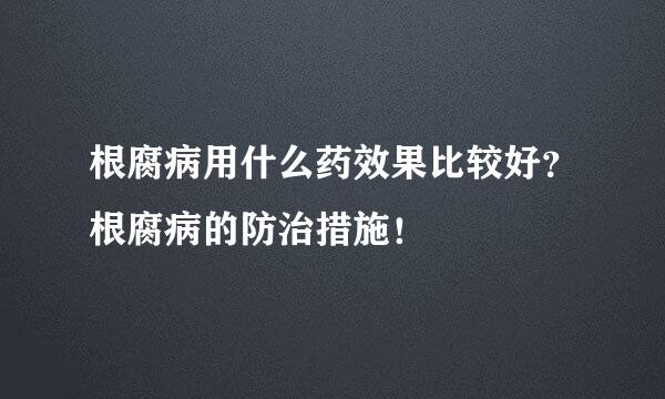 根腐病用什么药效果比较好？根腐病的防治措施！