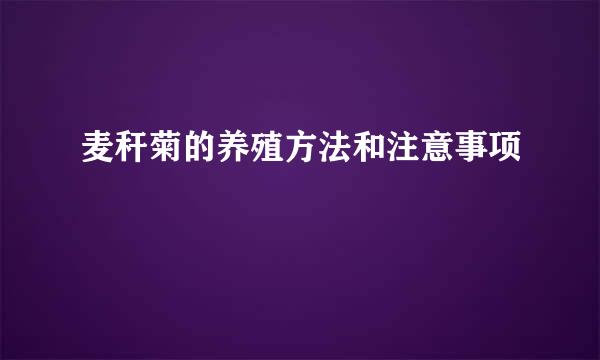 麦秆菊的养殖方法和注意事项