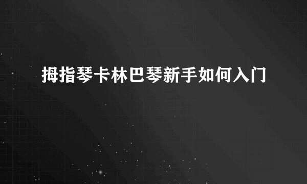 拇指琴卡林巴琴新手如何入门