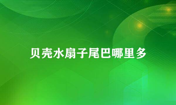 贝壳水扇子尾巴哪里多