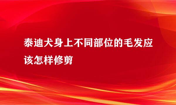 泰迪犬身上不同部位的毛发应该怎样修剪