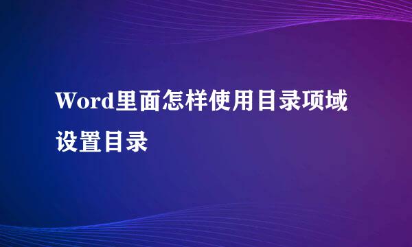 Word里面怎样使用目录项域设置目录