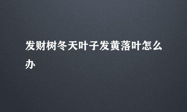 发财树冬天叶子发黄落叶怎么办