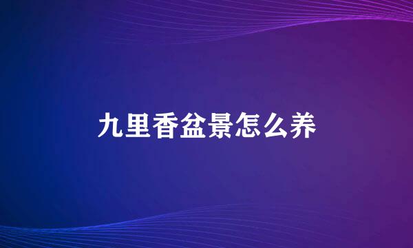 九里香盆景怎么养