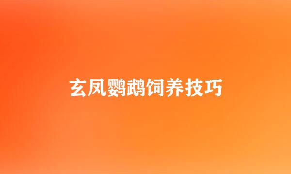 玄凤鹦鹉饲养技巧