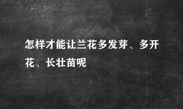 怎样才能让兰花多发芽、多开花、长壮苗呢