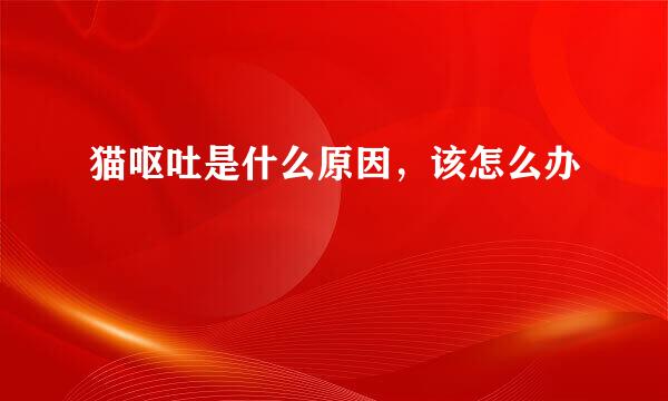 猫呕吐是什么原因，该怎么办