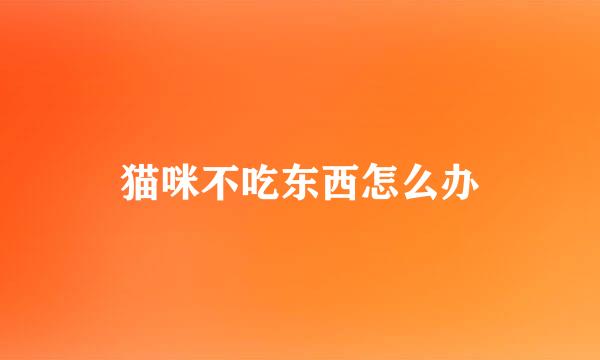 猫咪不吃东西怎么办