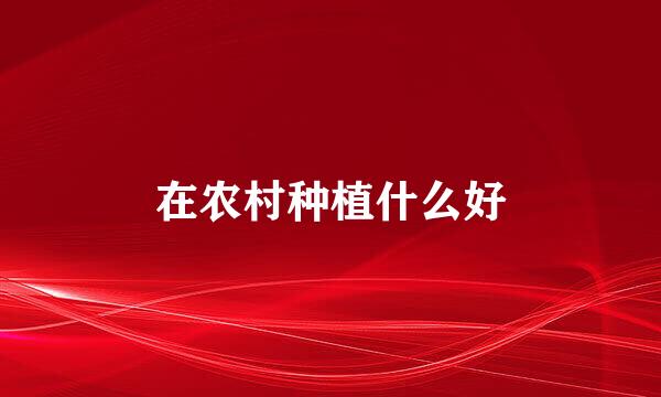 在农村种植什么好