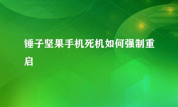 锤子坚果手机死机如何强制重启