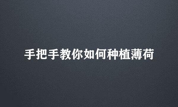 手把手教你如何种植薄荷