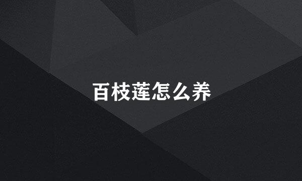 百枝莲怎么养