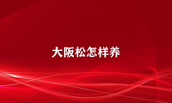 大阪松怎样养