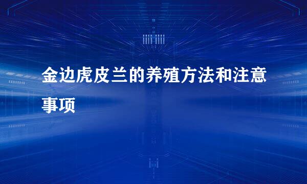 金边虎皮兰的养殖方法和注意事项