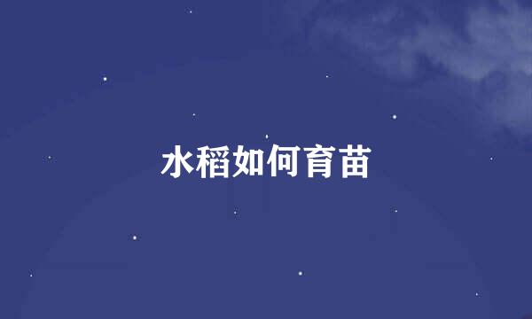 水稻如何育苗