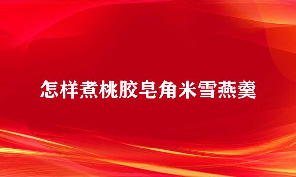怎样煮桃胶皂角米雪燕羹