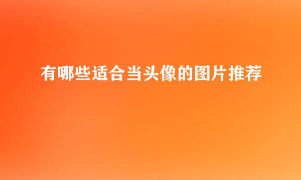 有哪些适合当头像的图片推荐