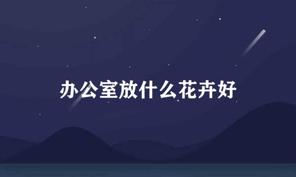 办公室放什么花卉好