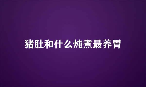 猪肚和什么炖煮最养胃