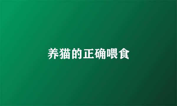 养猫的正确喂食