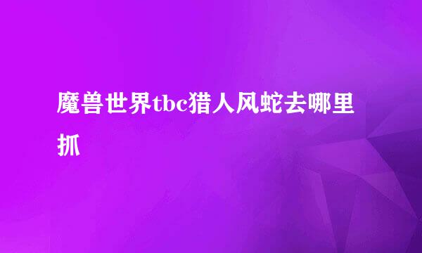 魔兽世界tbc猎人风蛇去哪里抓