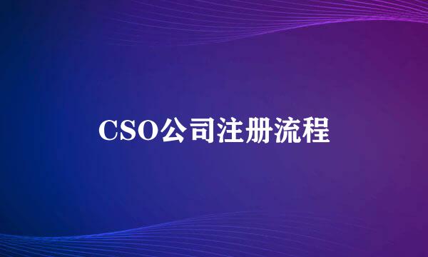 CSO公司注册流程
