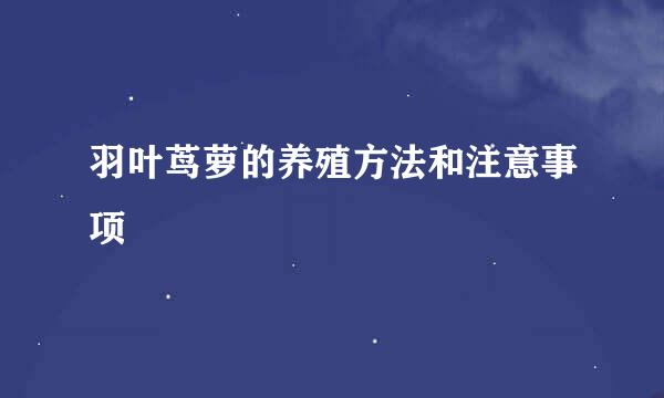 羽叶茑萝的养殖方法和注意事项