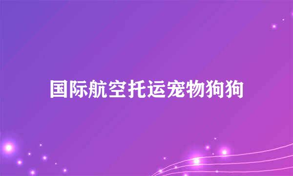 国际航空托运宠物狗狗