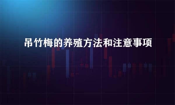 吊竹梅的养殖方法和注意事项