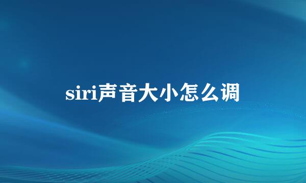 siri声音大小怎么调