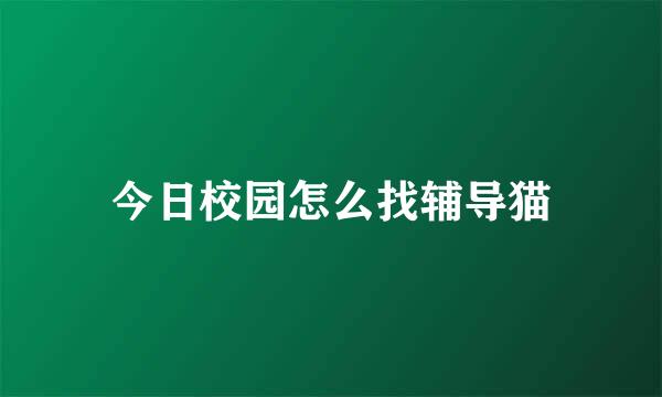 今日校园怎么找辅导猫