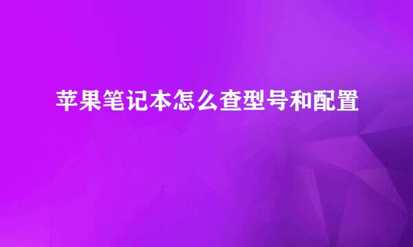 苹果笔记本怎么查型号和配置