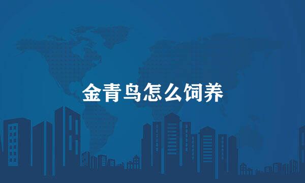 金青鸟怎么饲养