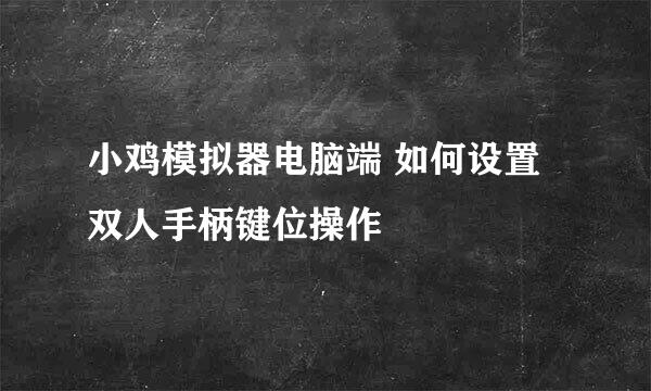 小鸡模拟器电脑端 如何设置双人手柄键位操作