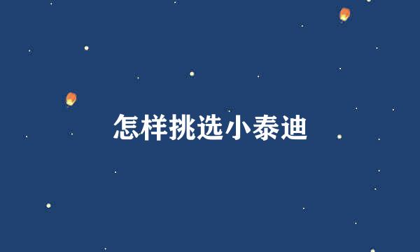 怎样挑选小泰迪