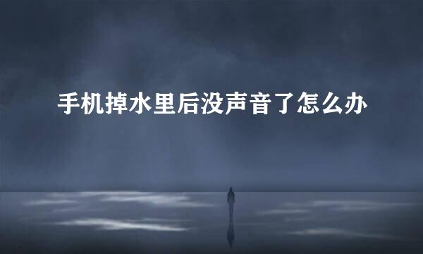 手机掉水里后没声音了怎么办