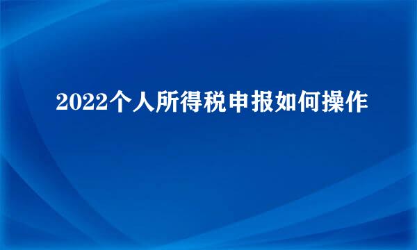 2022个人所得税申报如何操作