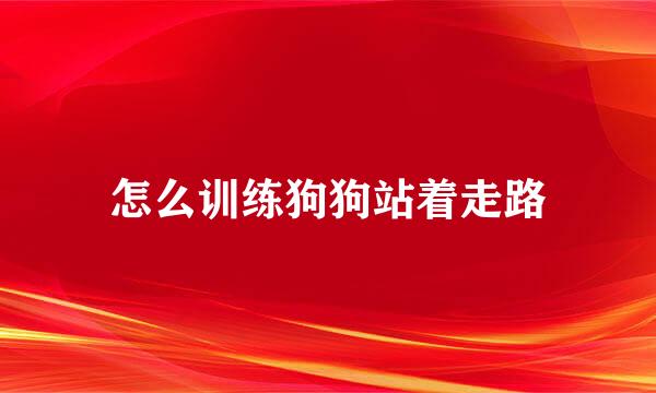 怎么训练狗狗站着走路