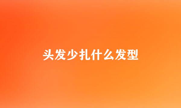 头发少扎什么发型