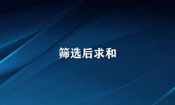 筛选后求和
