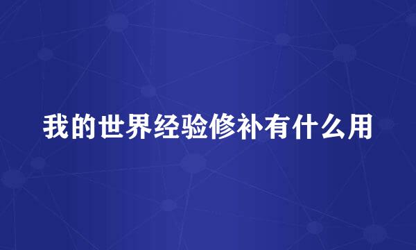 我的世界经验修补有什么用