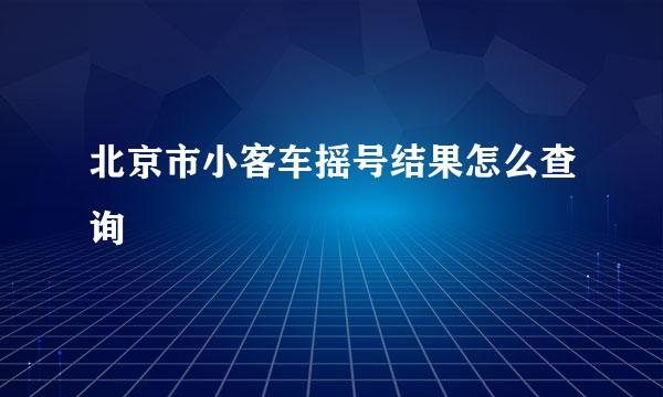北京市小客车摇号结果怎么查询