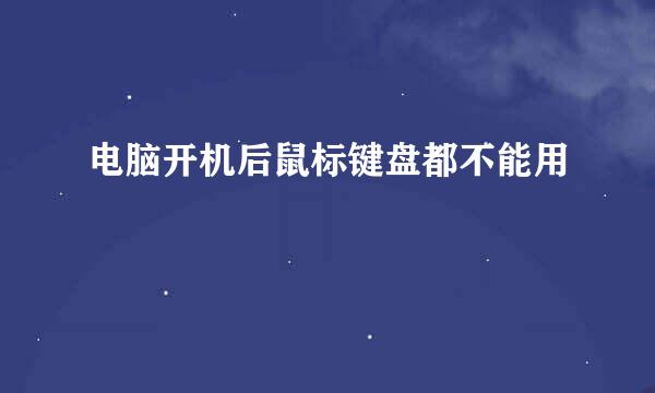 电脑开机后鼠标键盘都不能用