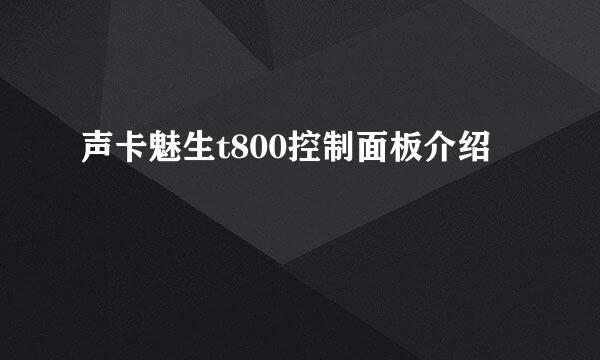 声卡魅生t800控制面板介绍
