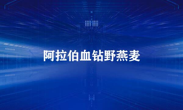 阿拉伯血钻野燕麦