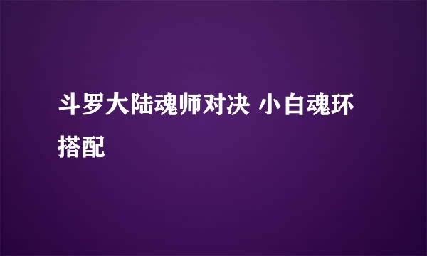 斗罗大陆魂师对决 小白魂环搭配